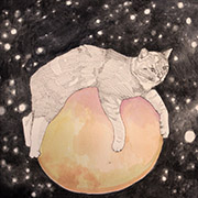 Planet Cat.jpg